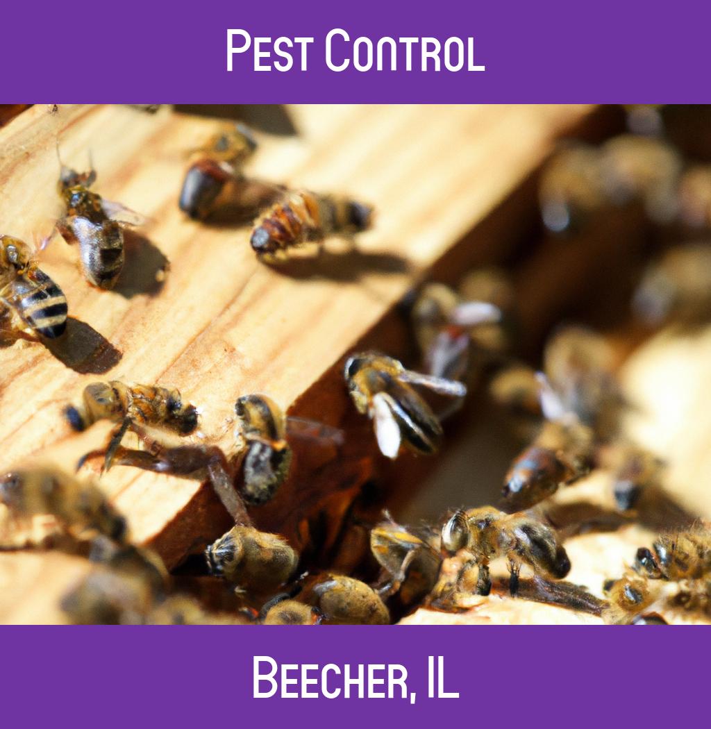 pest control in Beecher Illinois