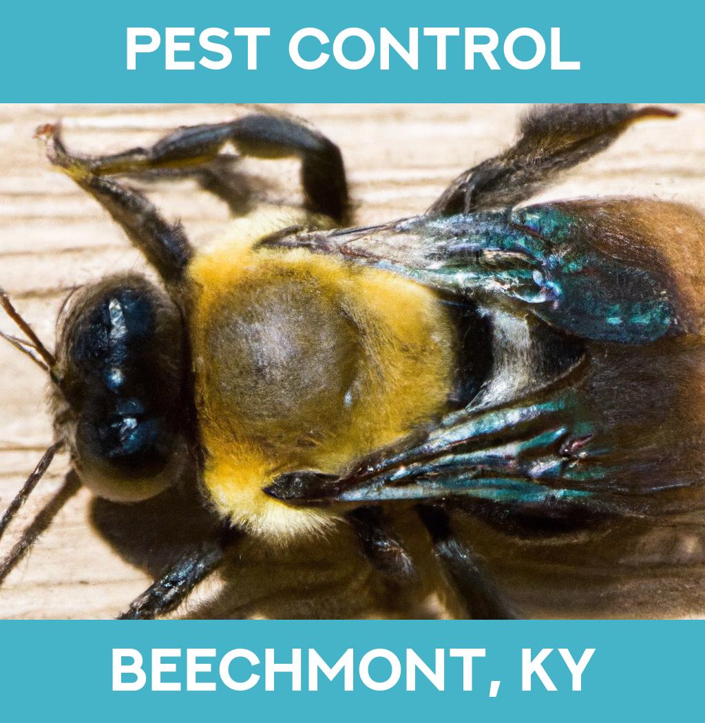 pest control in Beechmont Kentucky