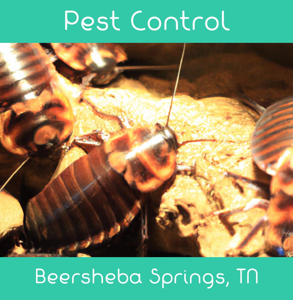 pest control in Beersheba Springs Tennessee