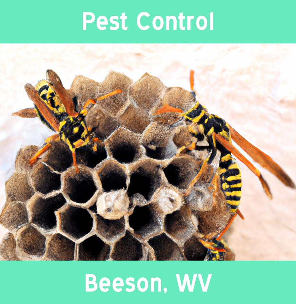 pest control in Beeson West Virginia