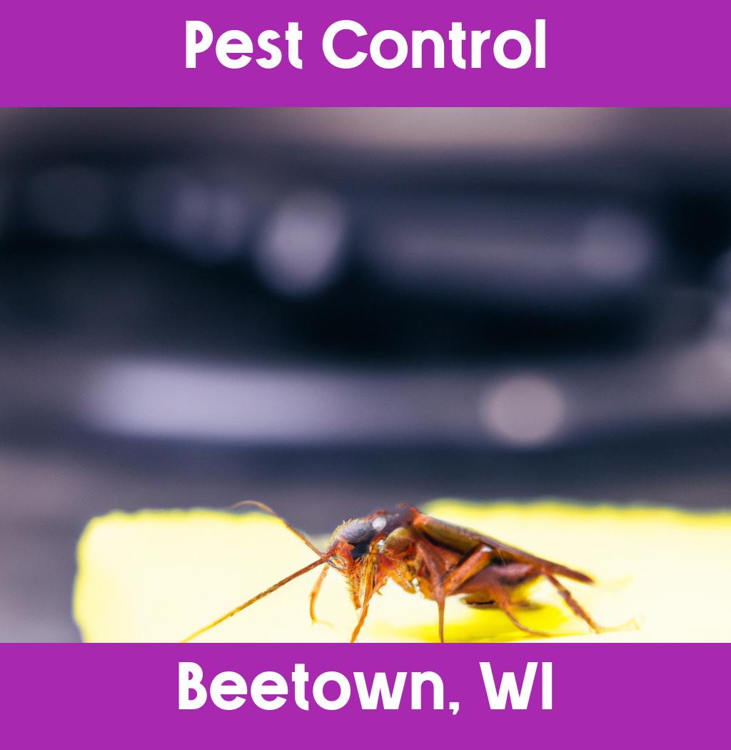 pest control in Beetown Wisconsin