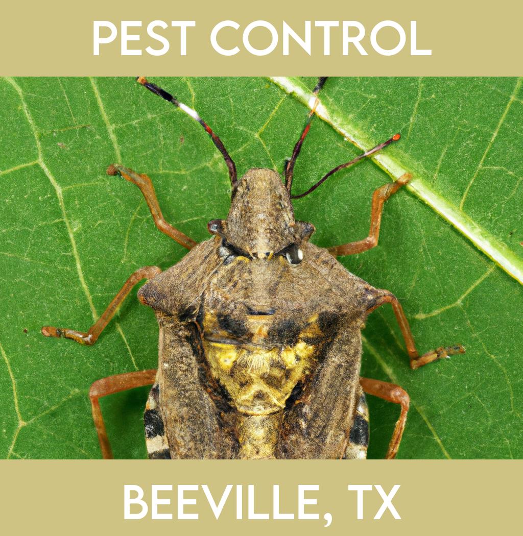 pest control in Beeville Texas