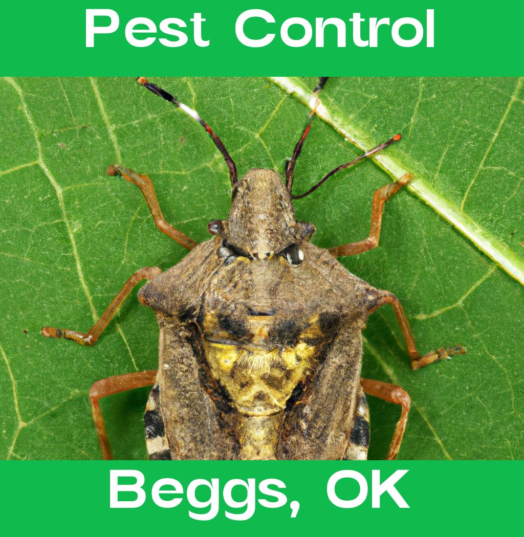 pest control in Beggs Oklahoma