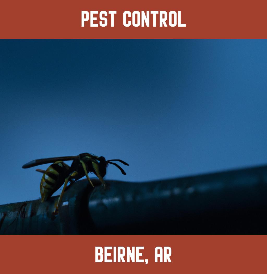 pest control in Beirne Arkansas
