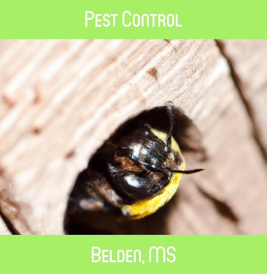 pest control in Belden Mississippi