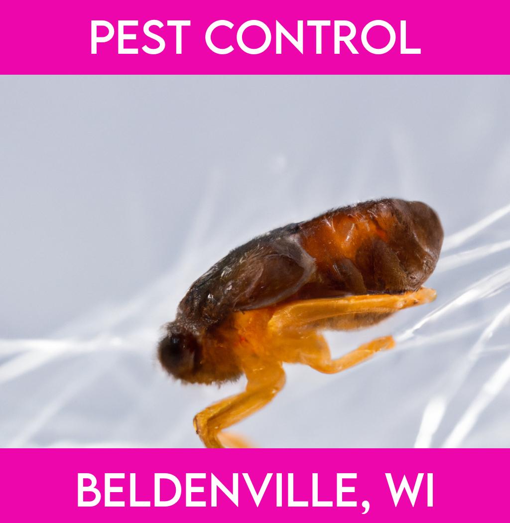 pest control in Beldenville Wisconsin