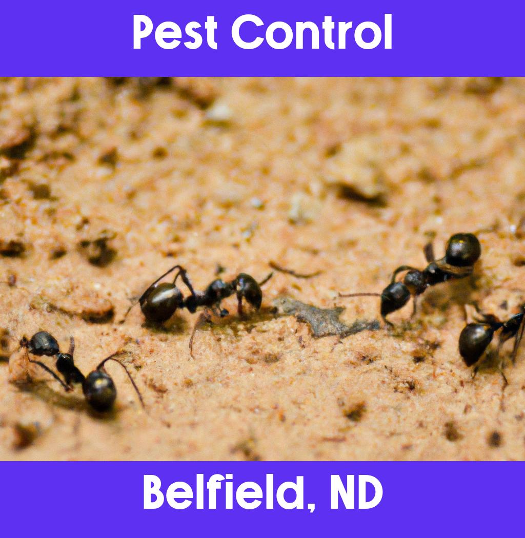 pest control in Belfield North Dakota