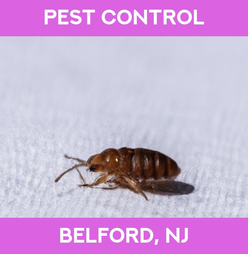 pest control in Belford New Jersey