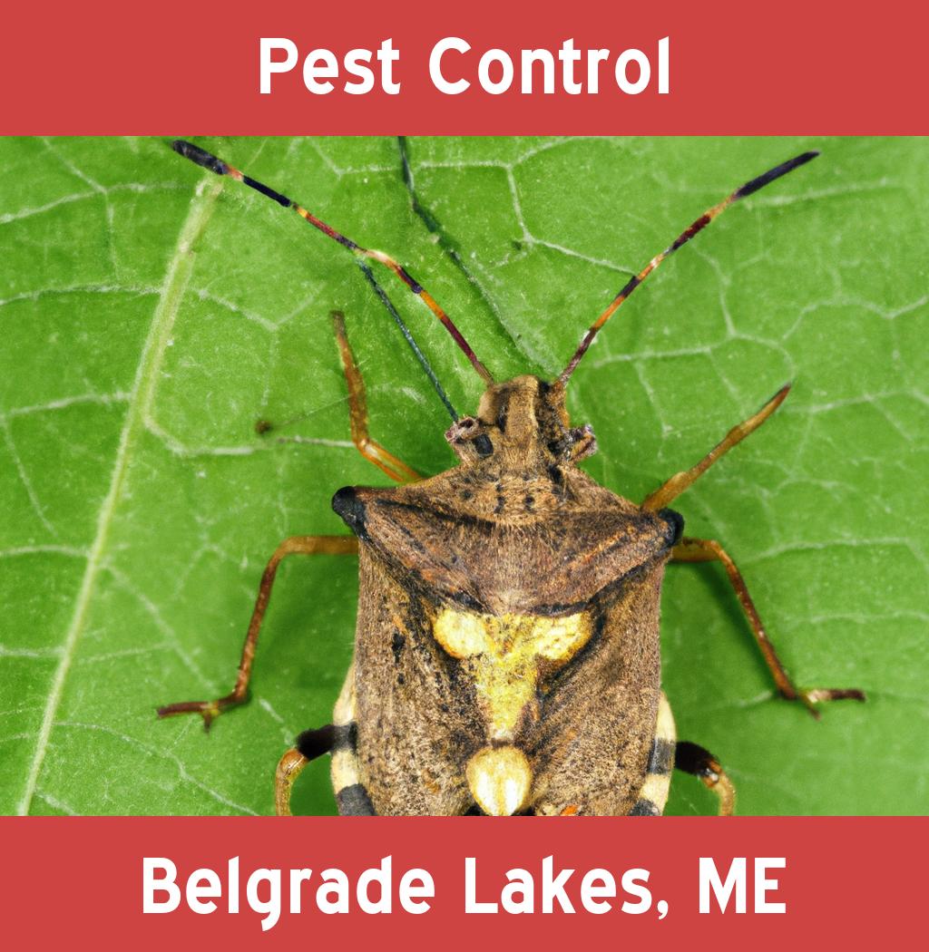 pest control in Belgrade Lakes Maine