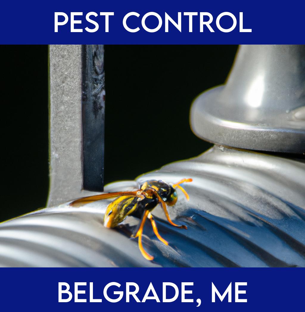 pest control in Belgrade Maine
