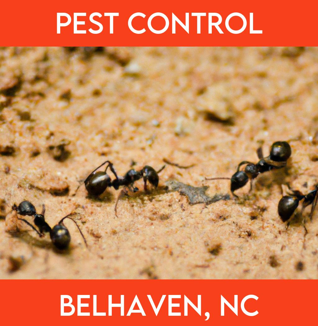 pest control in Belhaven North Carolina