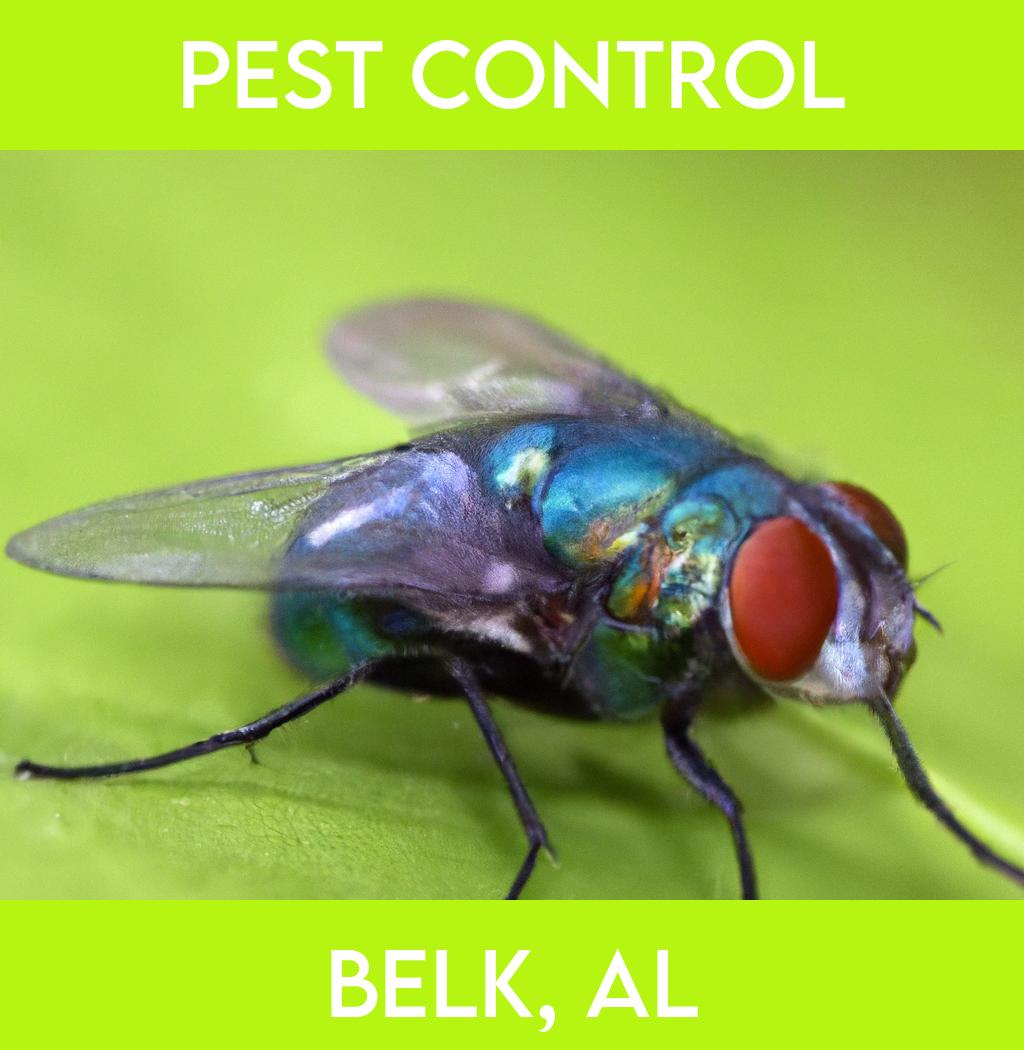 pest control in Belk Alabama