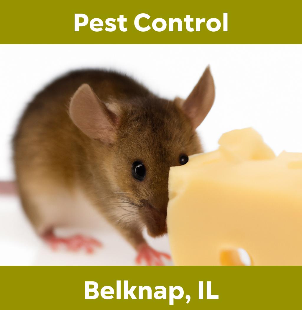 pest control in Belknap Illinois