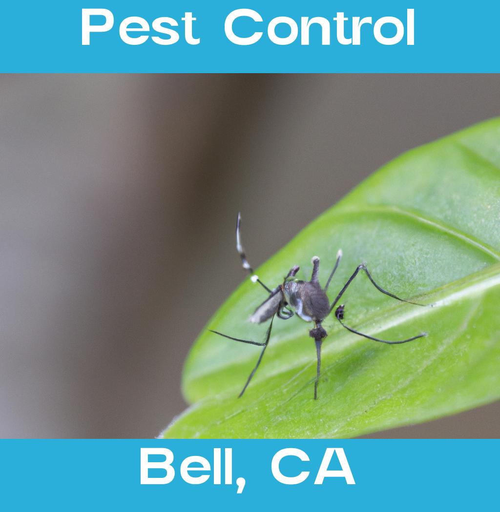 pest control in Bell California