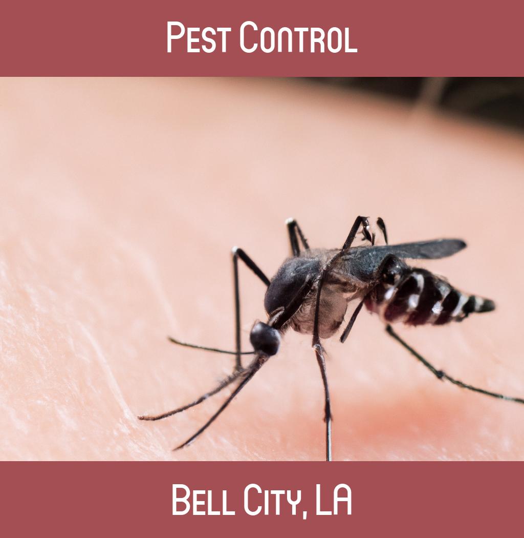 pest control in Bell City Louisiana