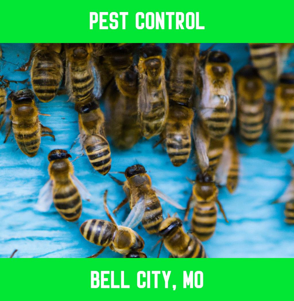 pest control in Bell City Missouri