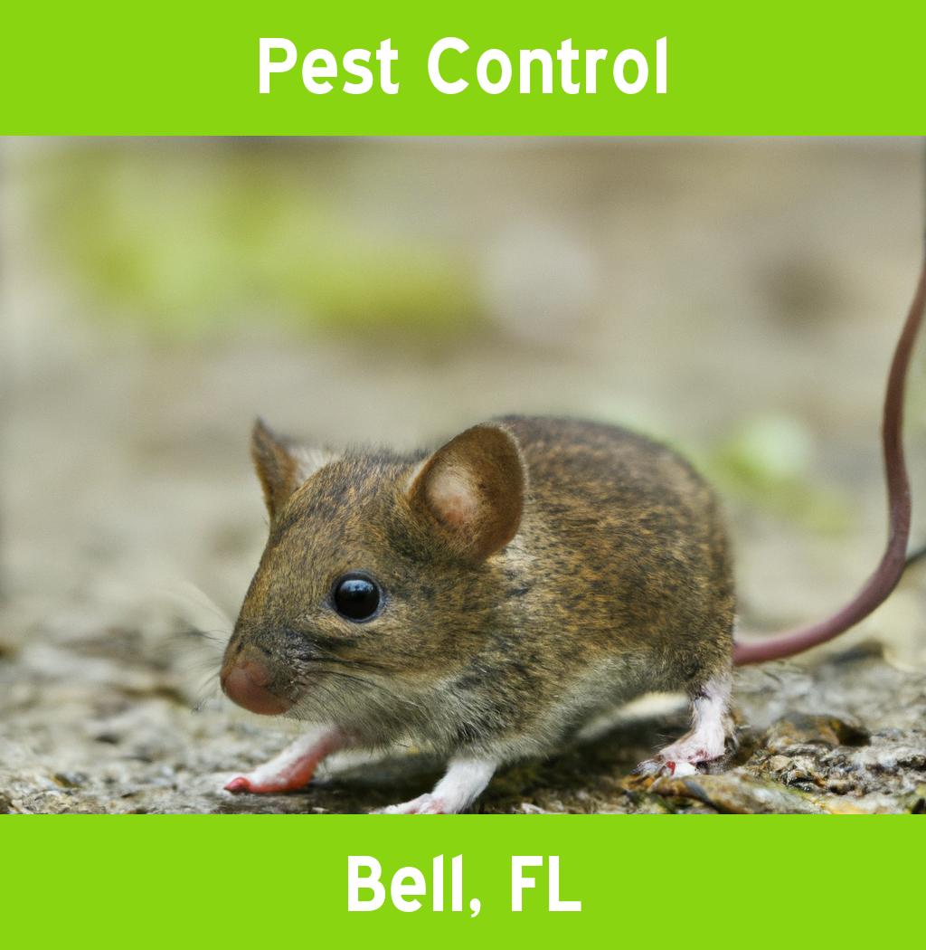 pest control in Bell Florida