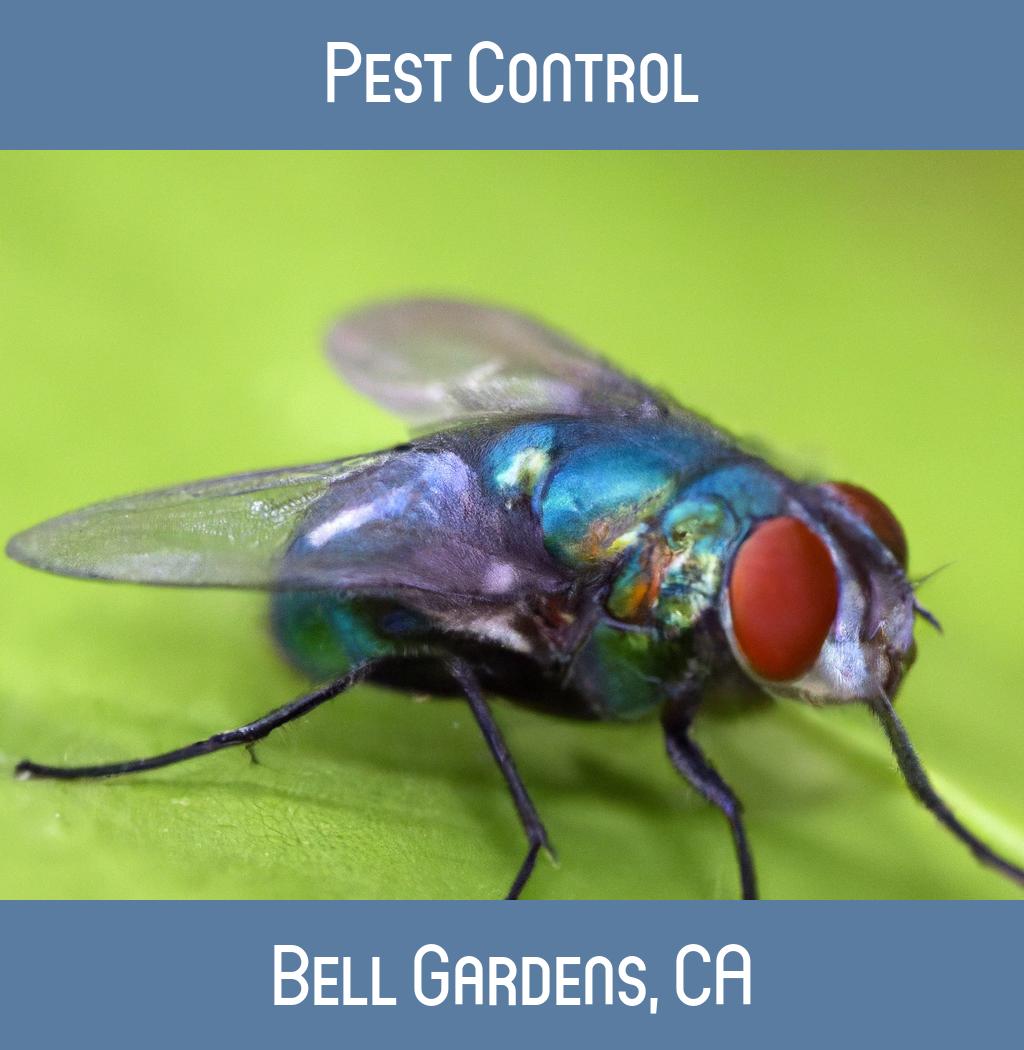 pest control in Bell Gardens California