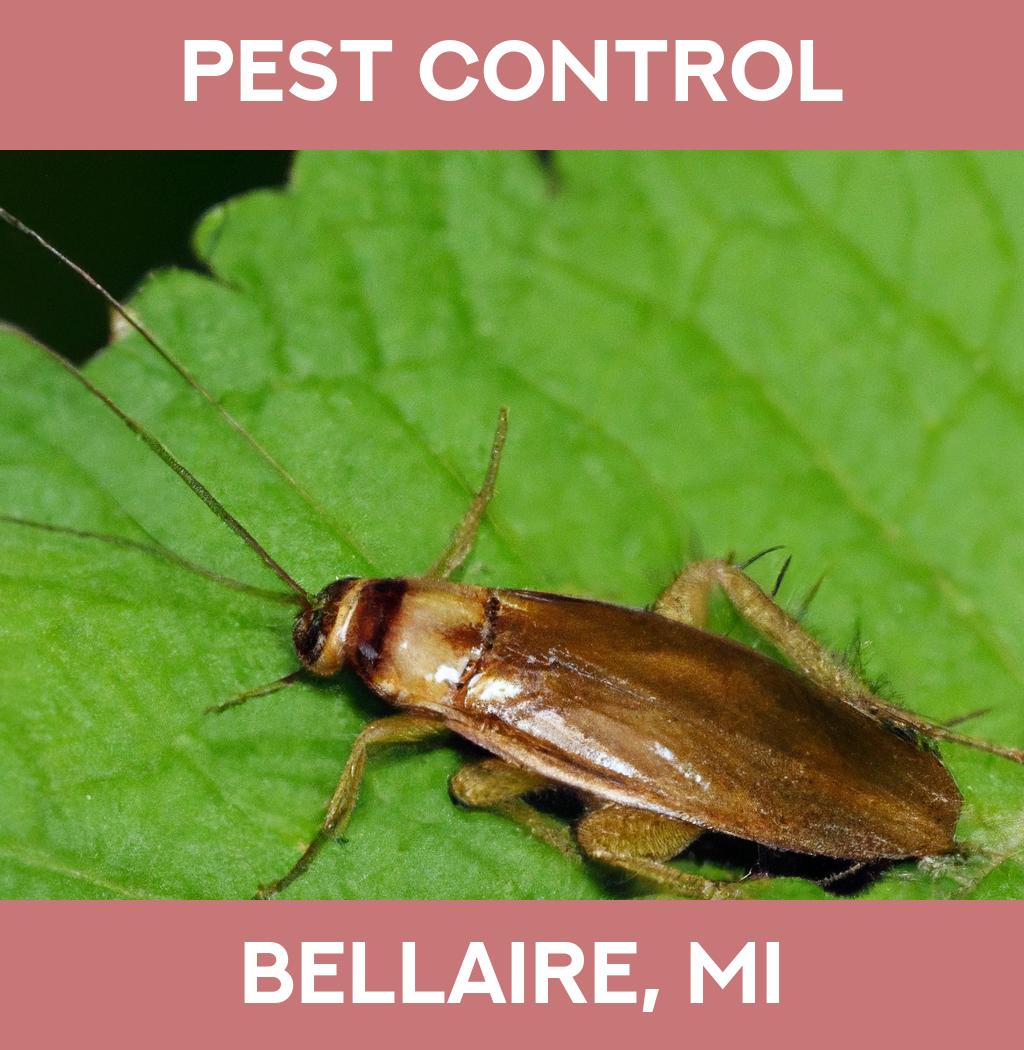 pest control in Bellaire Michigan