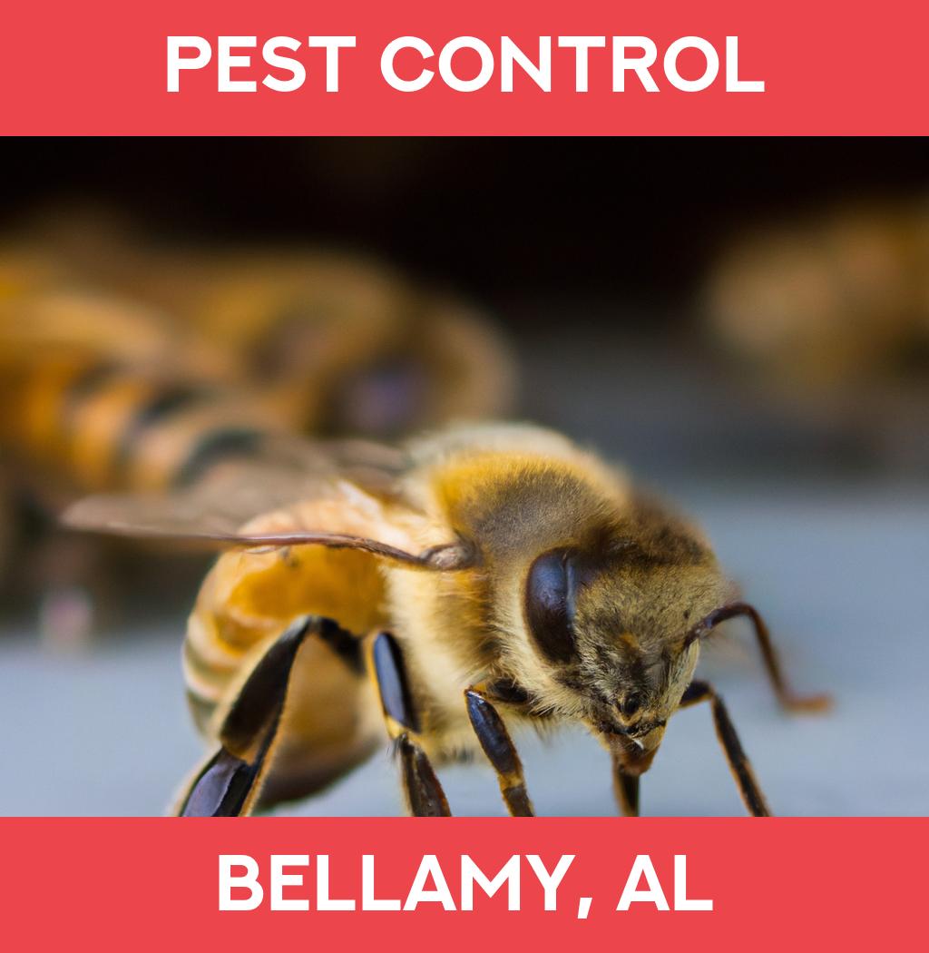 pest control in Bellamy Alabama