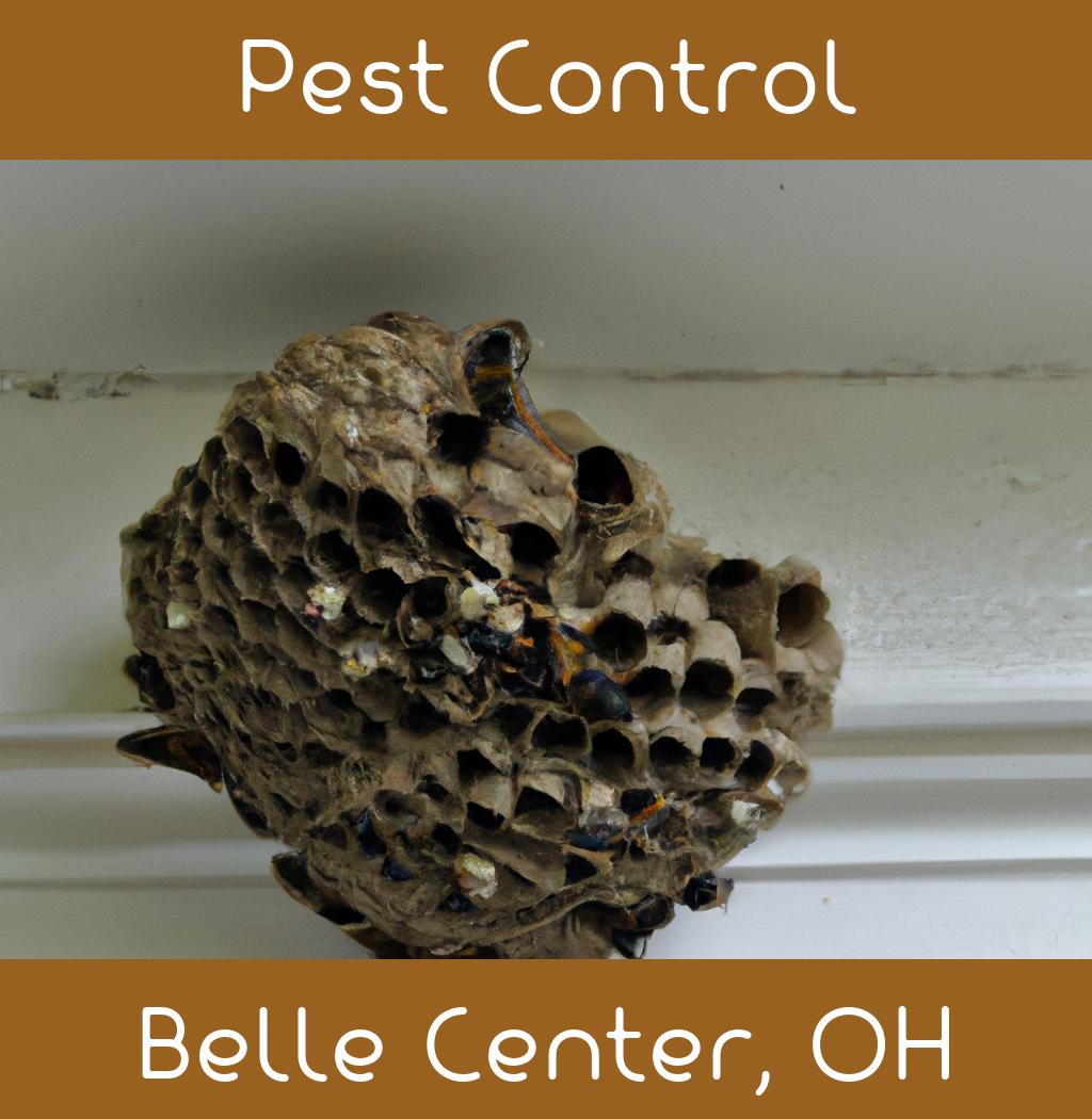 pest control in Belle Center Ohio