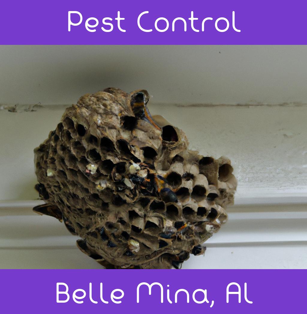 pest control in Belle Mina Alabama