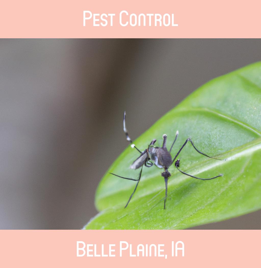 pest control in Belle Plaine Iowa