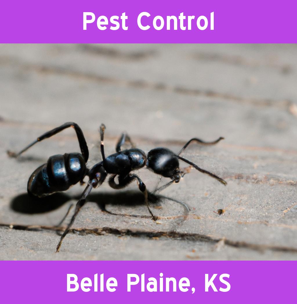 pest control in Belle Plaine Kansas