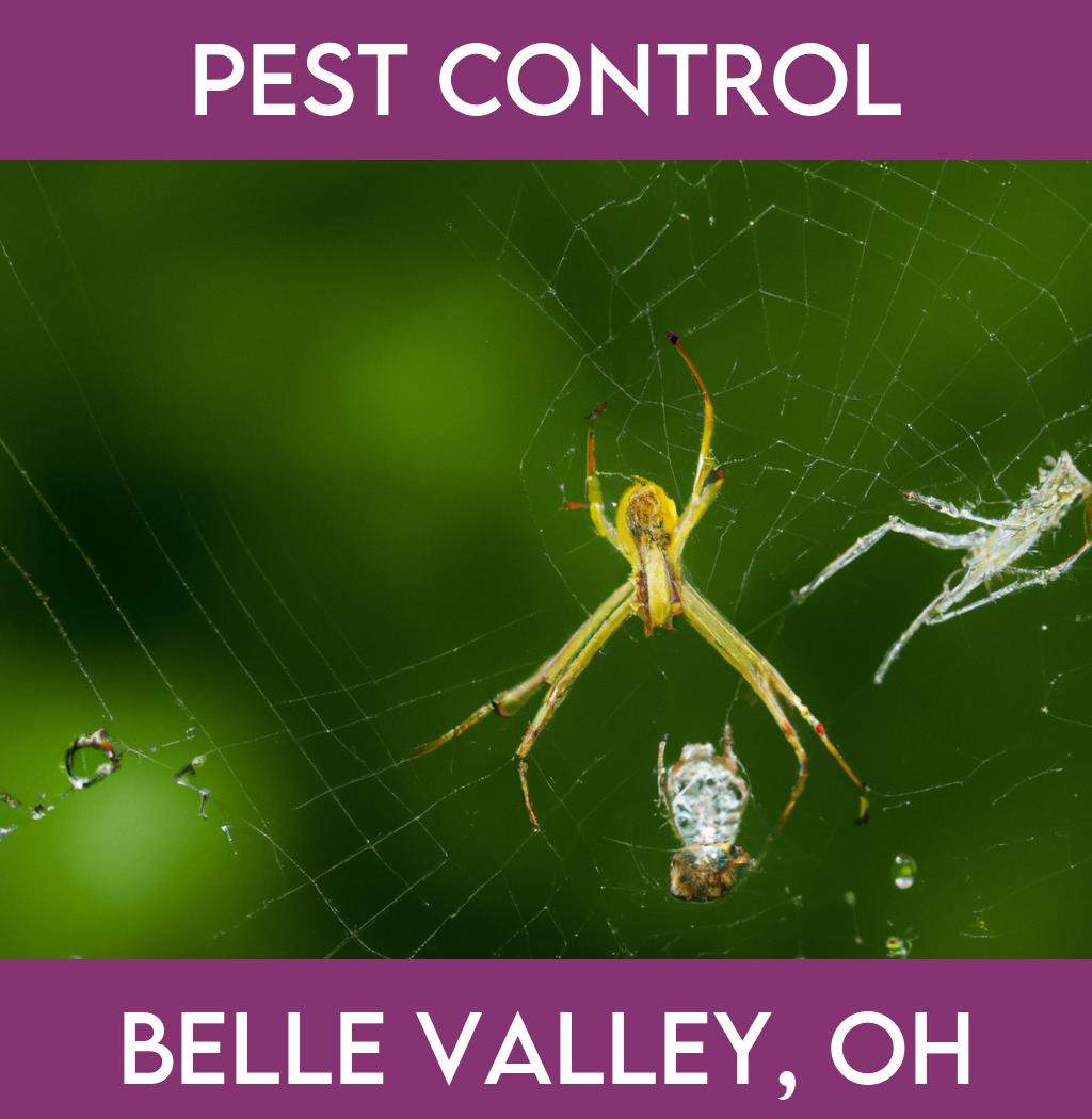 pest control in Belle Valley Ohio