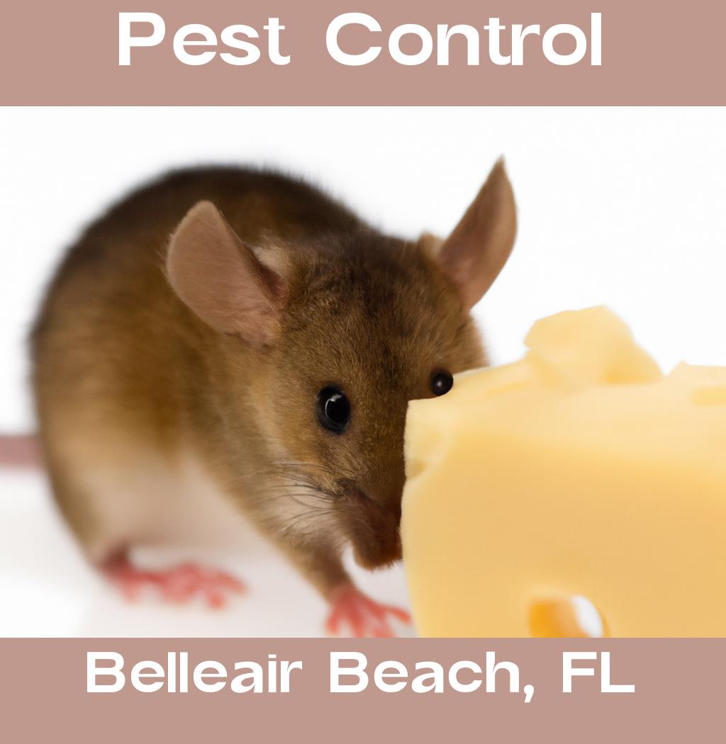 pest control in Belleair Beach Florida