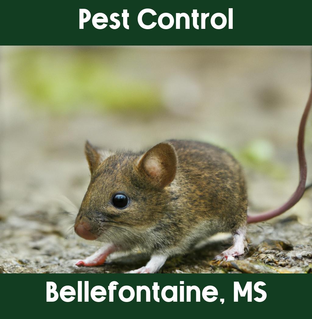 pest control in Bellefontaine Mississippi