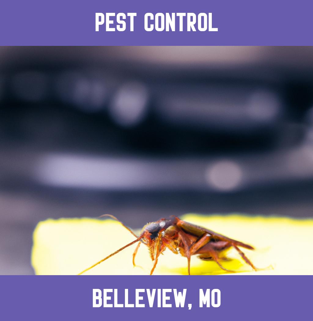 pest control in Belleview Missouri