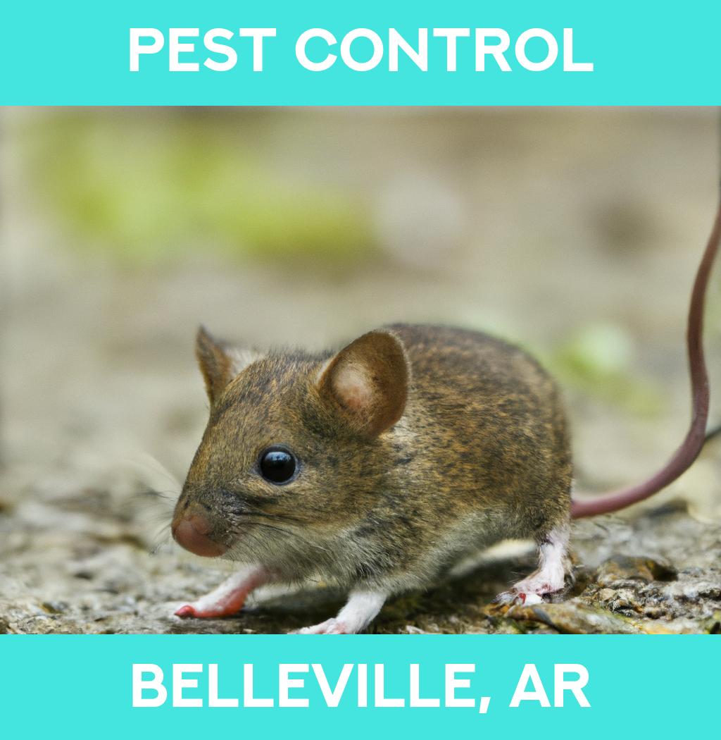 pest control in Belleville Arkansas