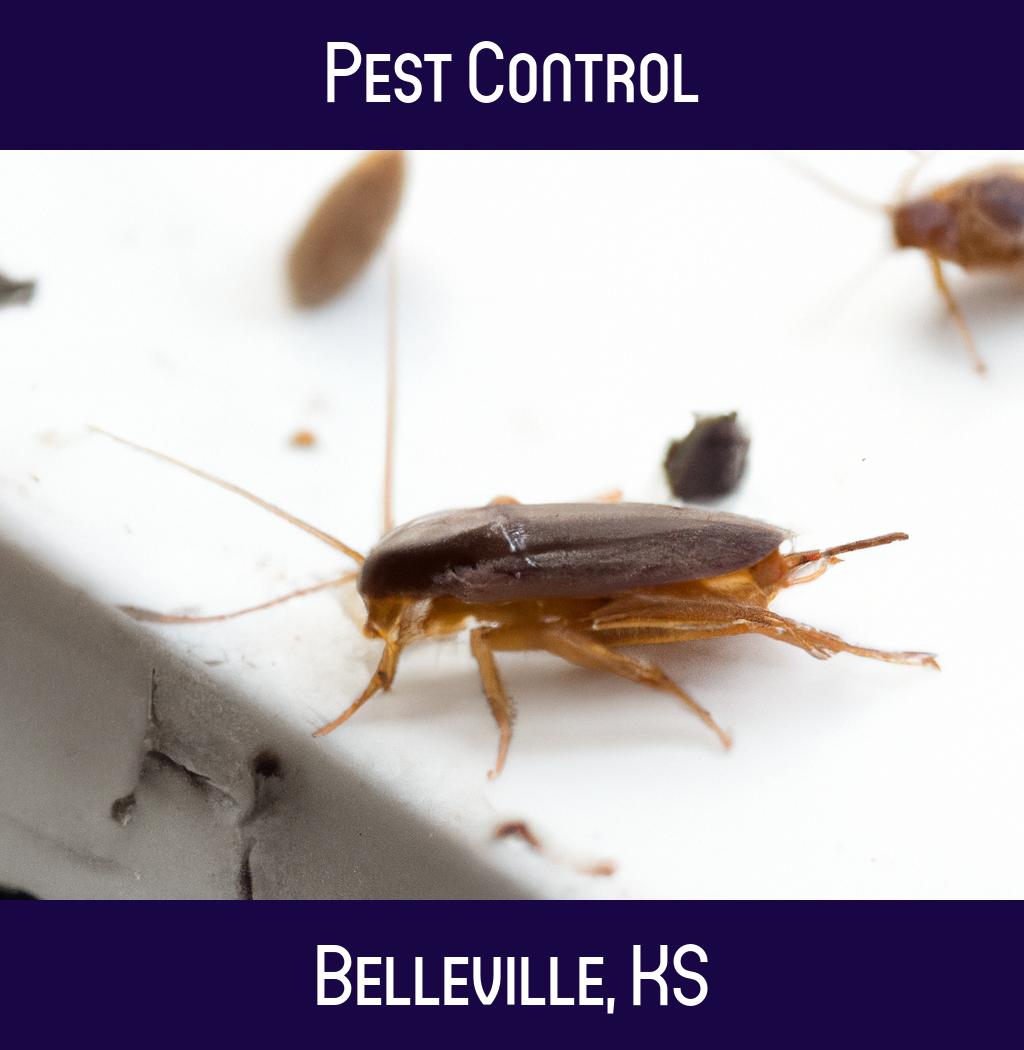 pest control in Belleville Kansas