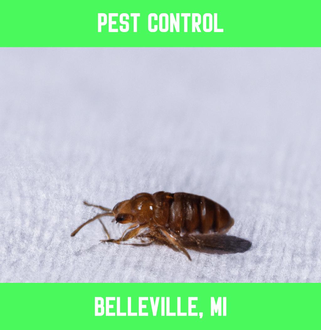 pest control in Belleville Michigan