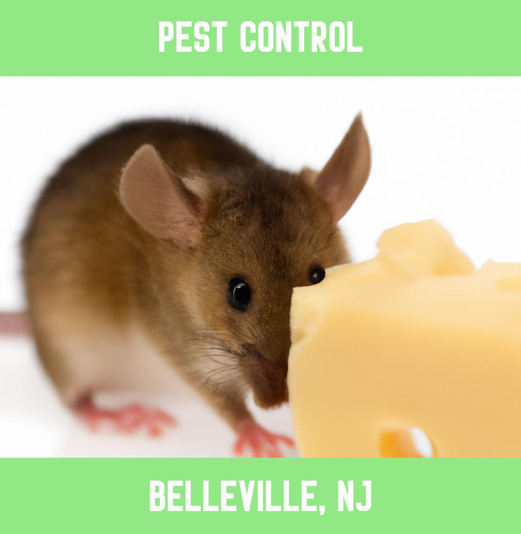pest control in Belleville New Jersey