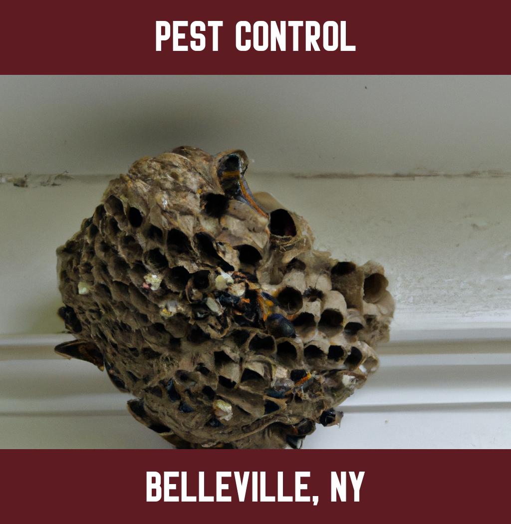 pest control in Belleville New York