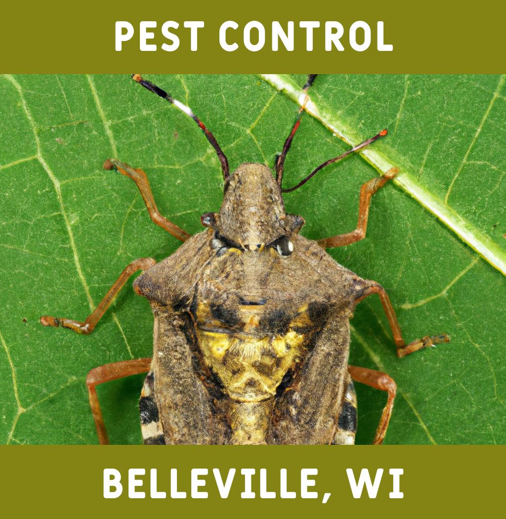 pest control in Belleville Wisconsin