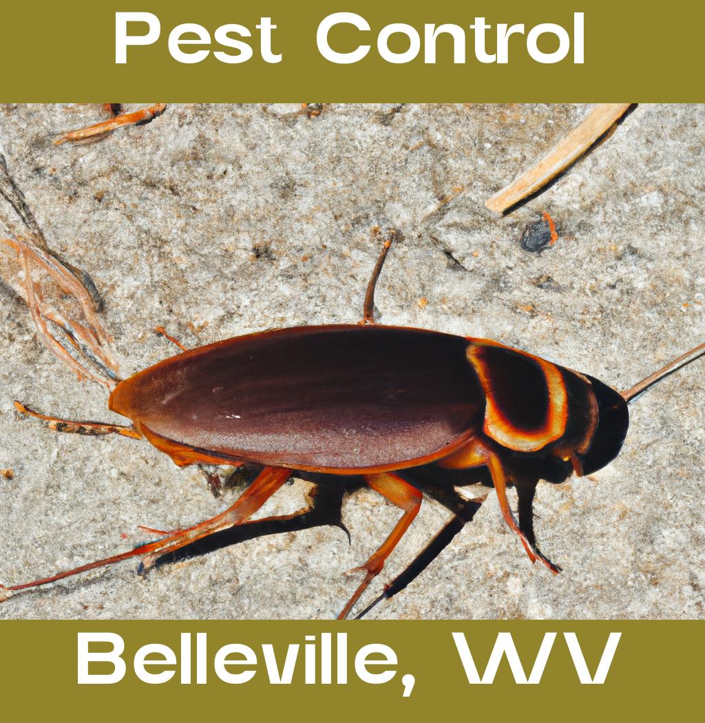 pest control in Belleville West Virginia