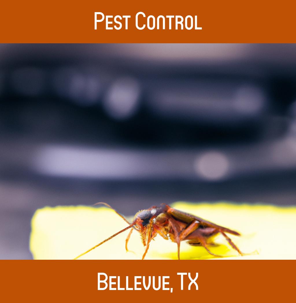 pest control in Bellevue Texas