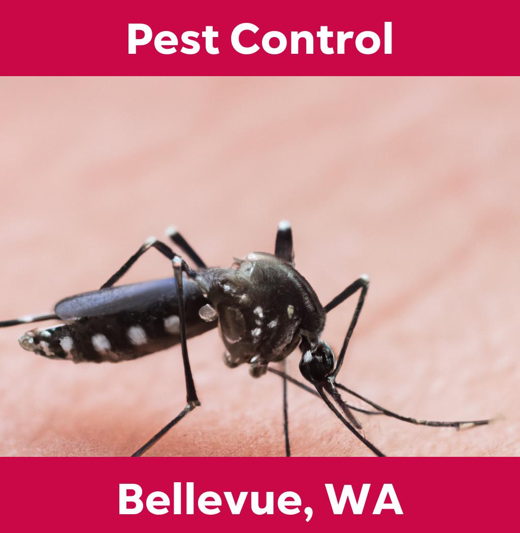 pest control in Bellevue Washington