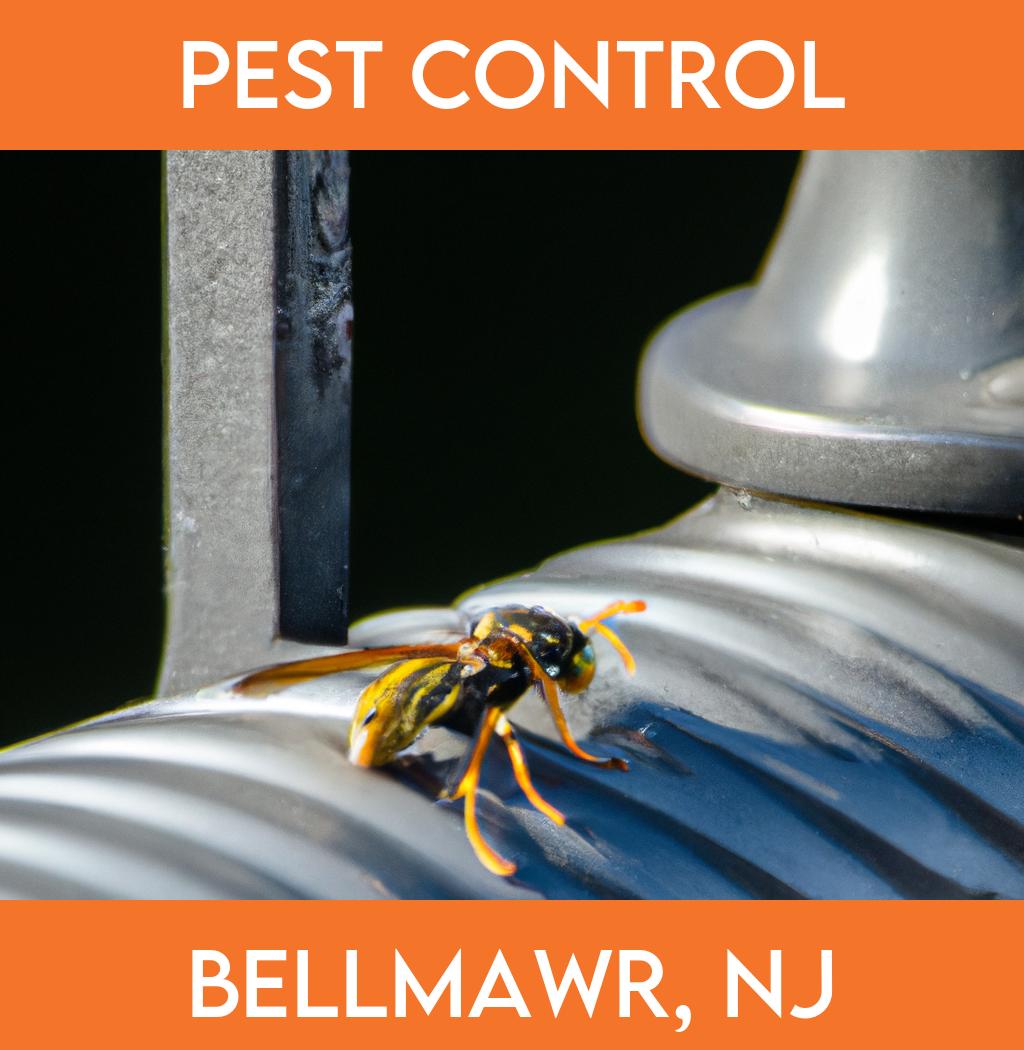 pest control in Bellmawr New Jersey