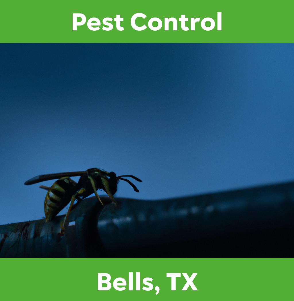 pest control in Bells Texas