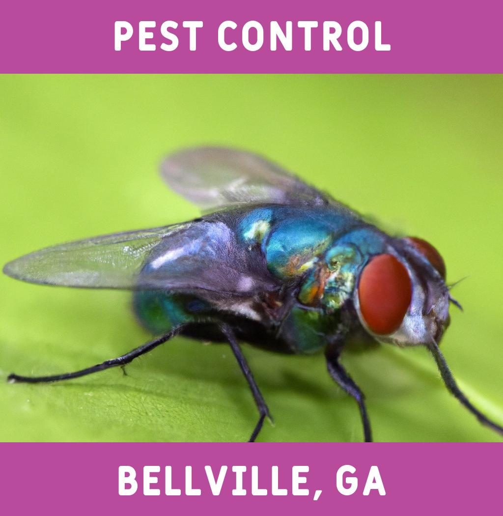 pest control in Bellville Georgia
