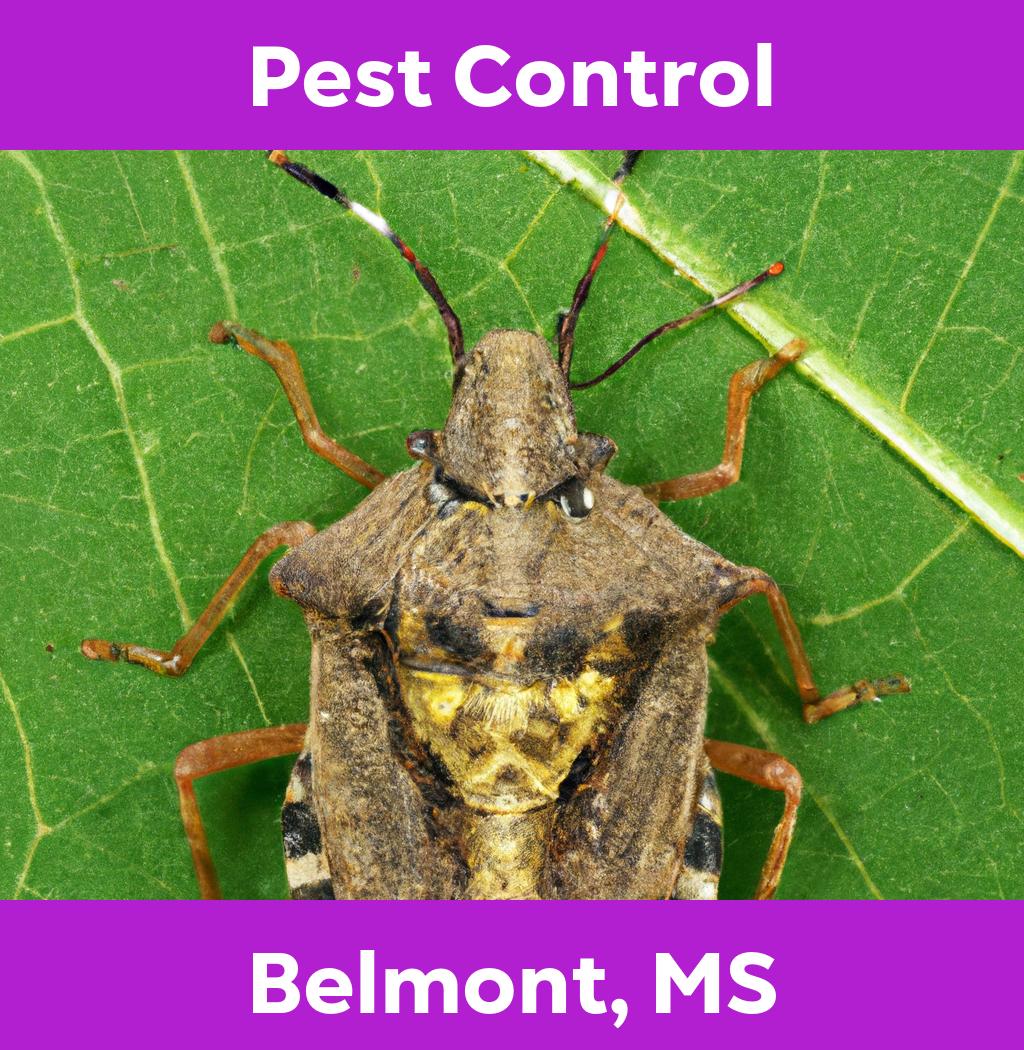pest control in Belmont Mississippi