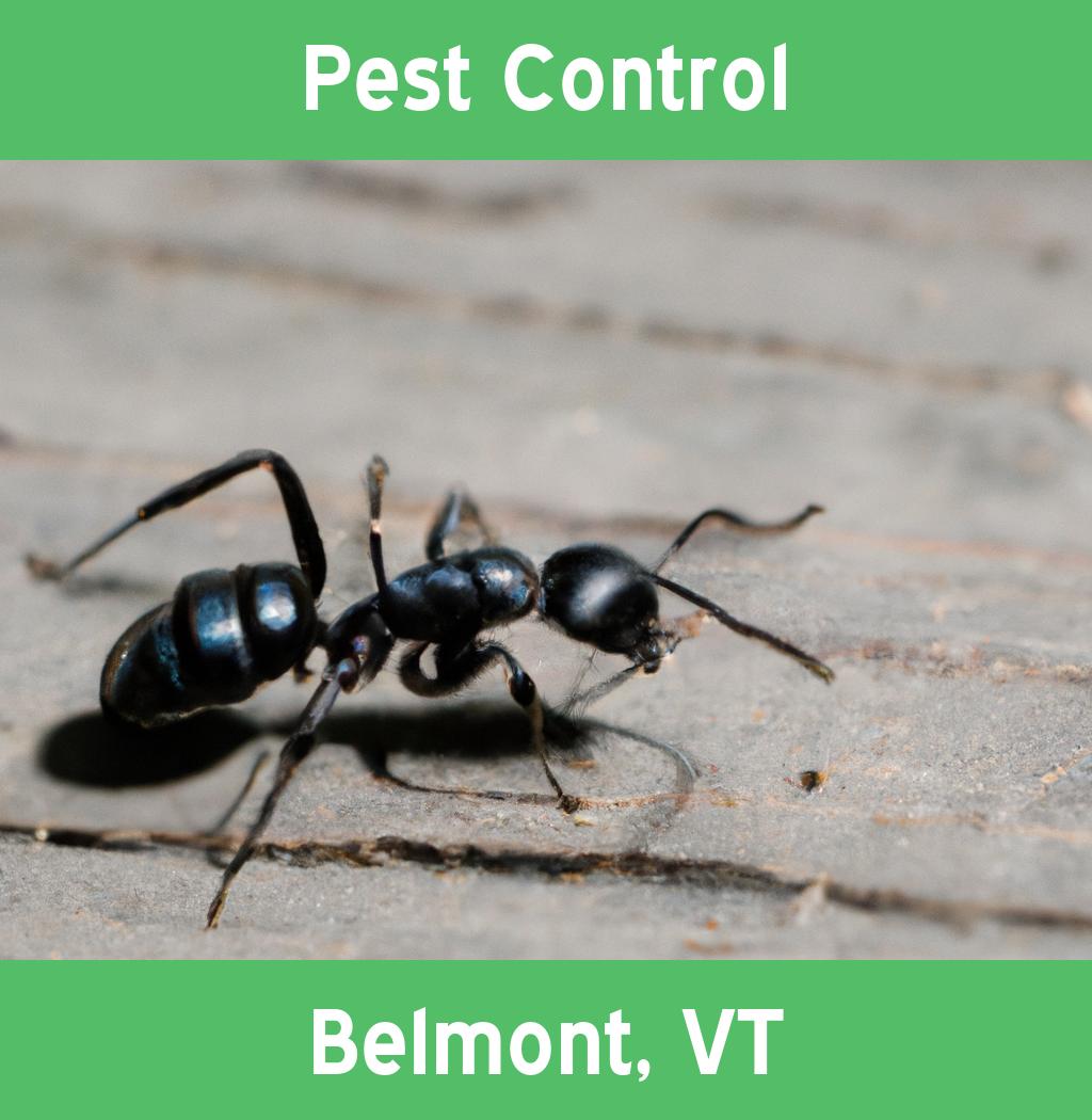 pest control in Belmont Vermont