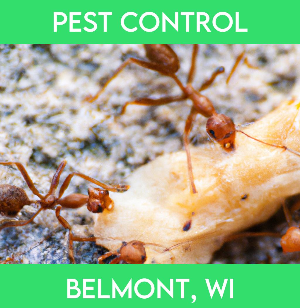 pest control in Belmont Wisconsin