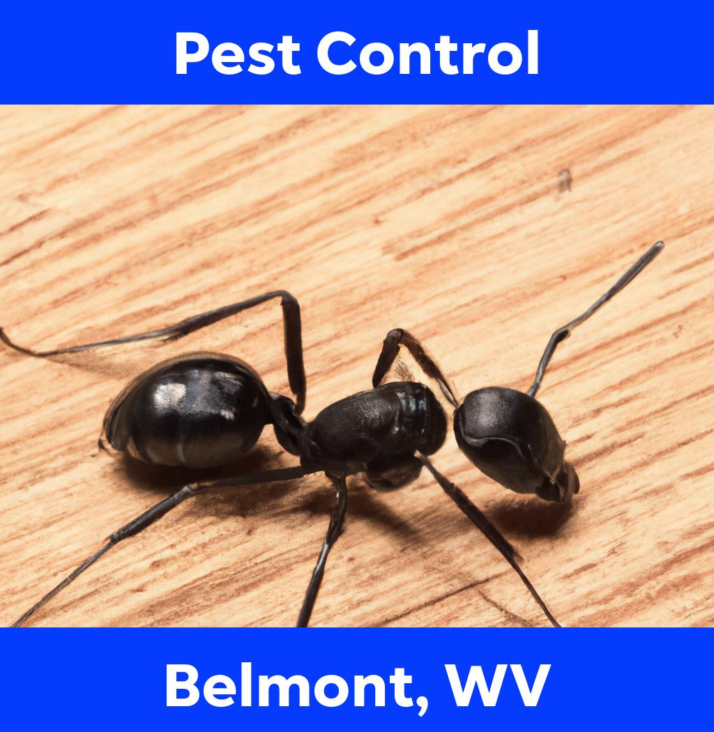 pest control in Belmont West Virginia