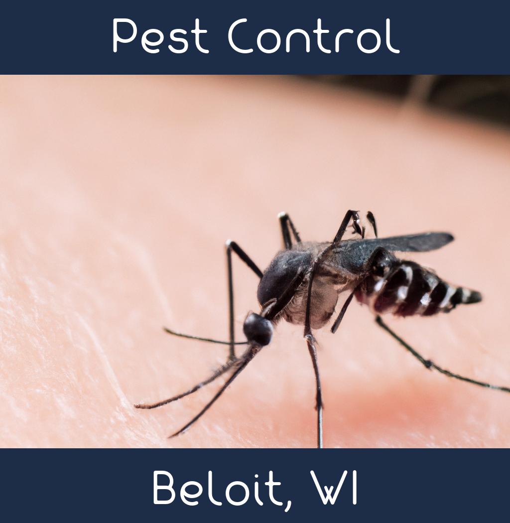 pest control in Beloit Wisconsin