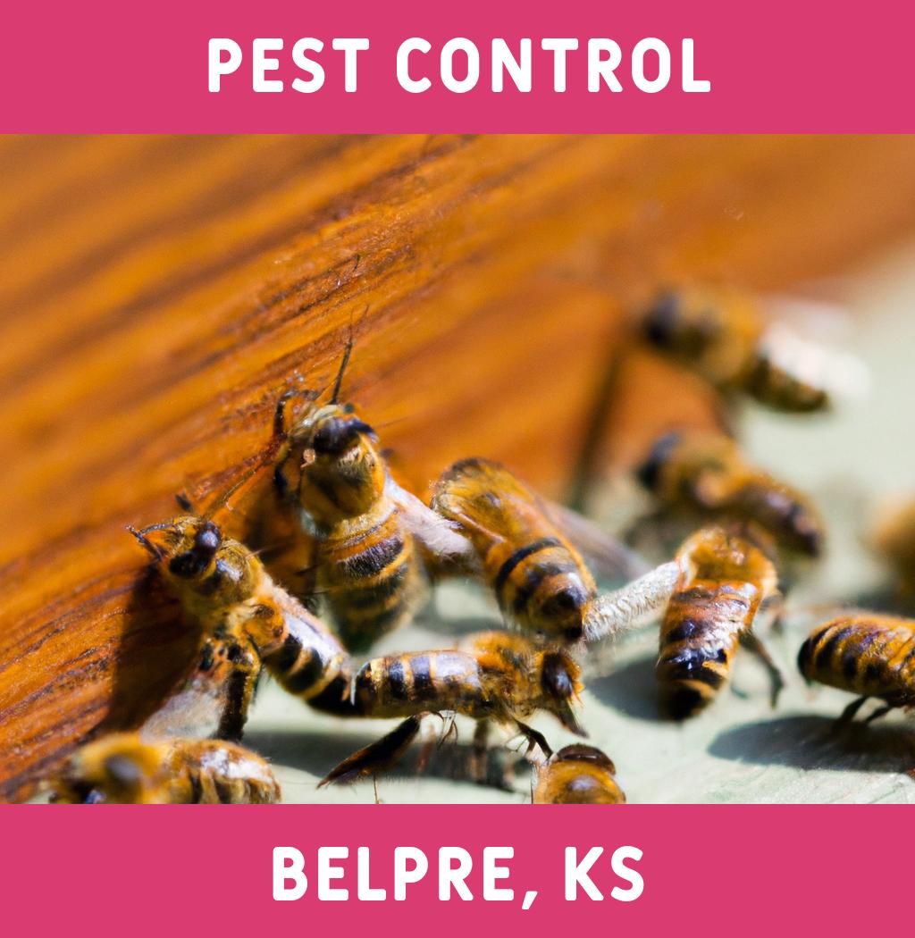 pest control in Belpre Kansas